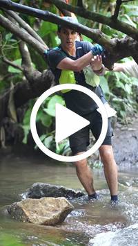 BIB:  <button type="button" onclick="openModal(27808143)" class="btn btn-primary btn-sm float-right" data-toggle="modal" data-target=".modal-high-quality">
                <i class="fa fa-download"></i> Download
                </button>